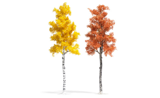 Busch 6794 Herbstplatane/-birke - Vorbestellung 1:87