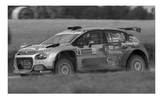 IXO RAM761 Citroen C3 R5, No.21, Rallye WM, Rallye Estonia, M.Ostberg/T.Eriksen, 2020 1:43