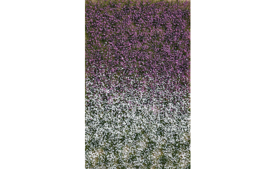 Busch 3548 Blütenbüschel Spätsommer 
