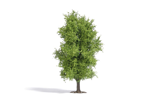 Busch 3721 Baum 115 mm, Frühling - Vorbestellung 1:87