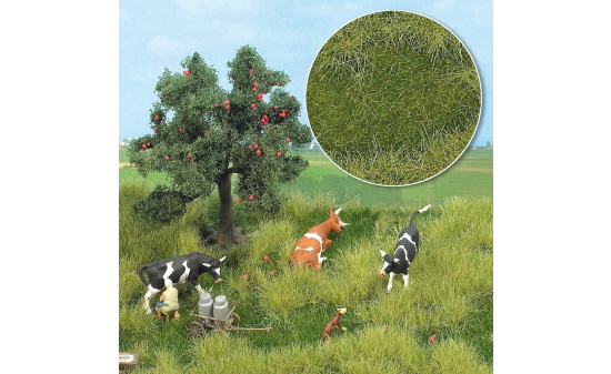 Busch 1306 Sommeraue, 2-farbig - Vorbestellung 1:120